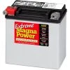 Magna Power Power Sport AGM Battery 220 CCA -Farm & Ranch Sales Store img10633521